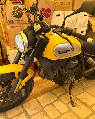 Ducati Scrambler 800