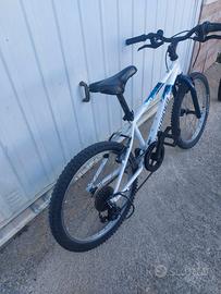 Montain bike rockrider 20'