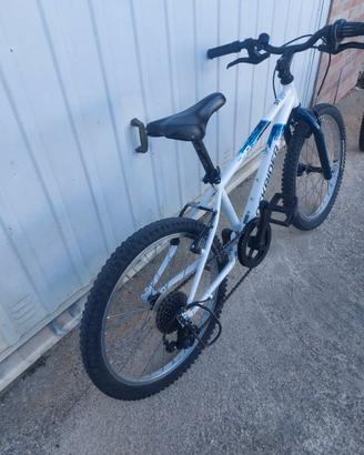 Montain bike rockrider 20'