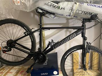 Montain bike (LOMBARDO)