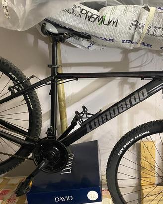 Montain bike (LOMBARDO)