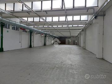 CAPANNONE A VANZAGHELLO