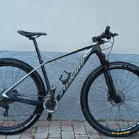 Specialized Stumpjumper Carbon marathon 29