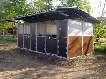Box per cavalli