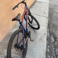Bicicletta da Trail