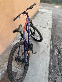 Bicicletta da Trail