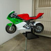 carene complete minimoto ZPF