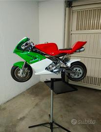 carene complete minimoto ZPF
