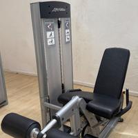 Life Fitness Leg Extension / Leg Curl