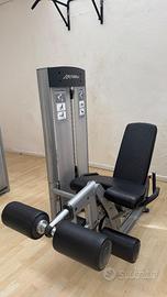Life Fitness Leg Extension / Leg Curl