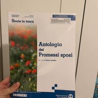 I Promessi Sposi