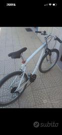 bicicletta bmw uomo tg 30