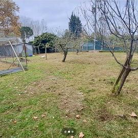 Terreno agricolo Viareggio
