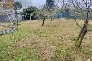 Terreno agricolo Viareggio