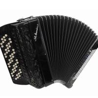 Fisarmonica cromatica amplif. 45 note cassotto 2+2