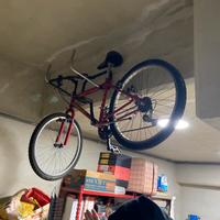 Mountain bike