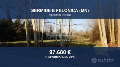 Immobile in asta di 58350 m² a Sermide e Felonica