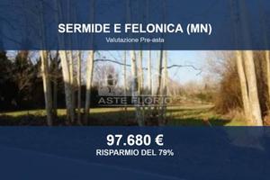 Immobile in asta di 58350 m² a Sermide e Felonica
