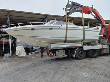 Squalo 28