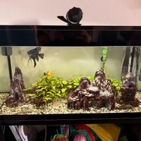 Acquario Askoll pure led XL 76x36x h43,5 completo