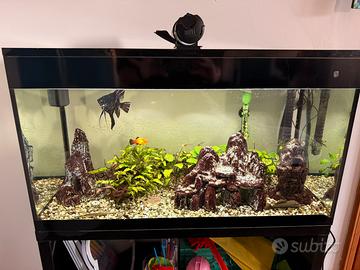 Acquario Askoll pure led XL 76x36x h43,5 completo