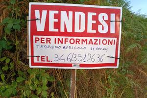Terreno agricolo localita' Santa Maria Inferiore
