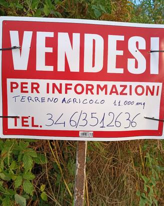 Terreno agricolo localita' Santa Maria Inferiore
