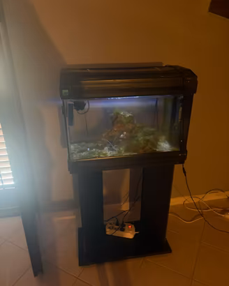 Acquario 50lt