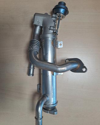 Radiatore Gas Scarico Valvola EGR