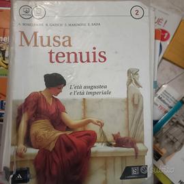 musa tenuis 2