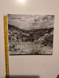 Stefano Cioffi La silente anarchia della natura