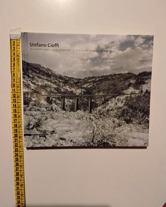 Stefano Cioffi La silente anarchia della natura