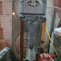 Motore jhonson 15cv
