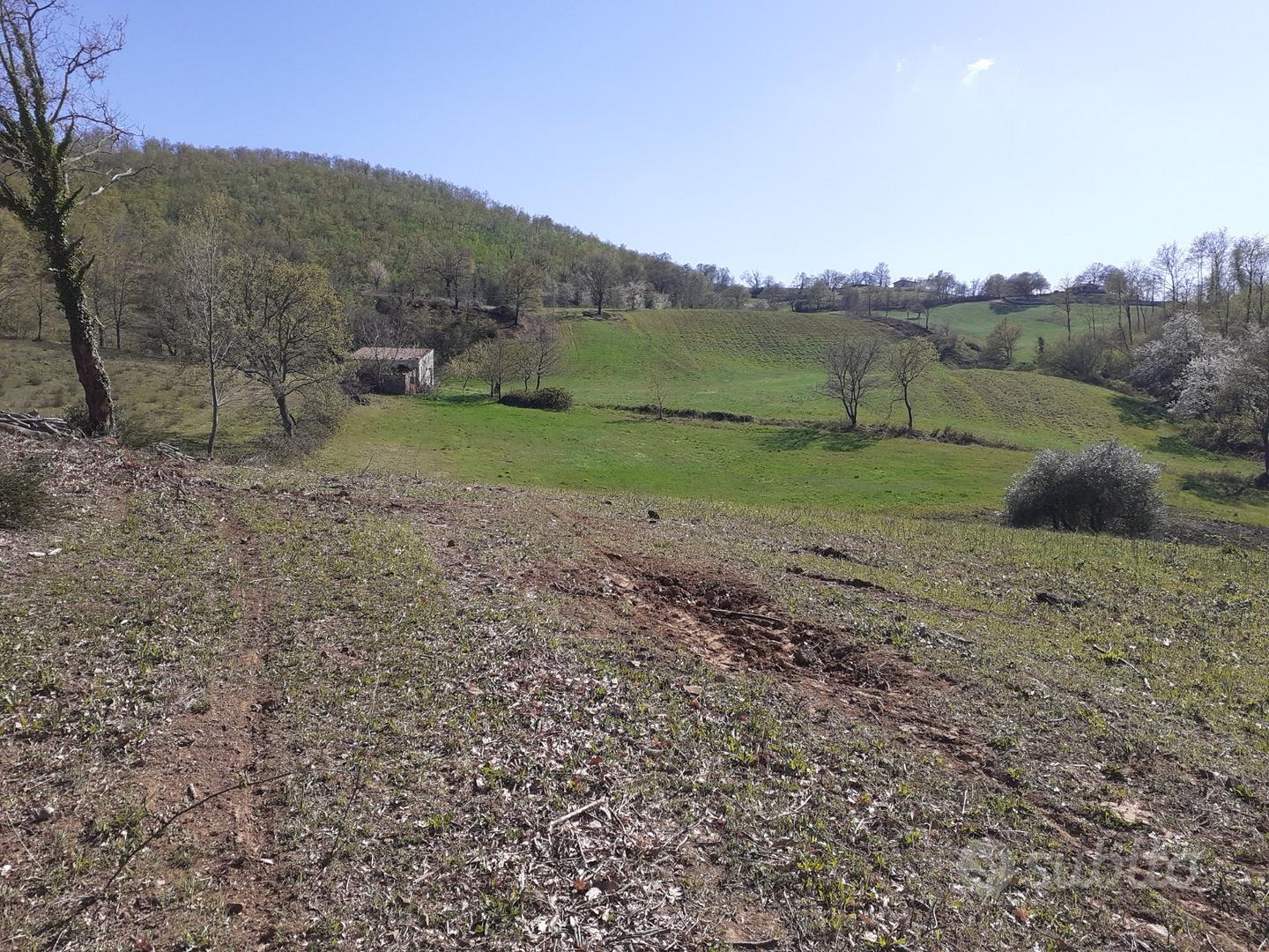 Terreni agricoli a semproniano (gr) - Vista 2