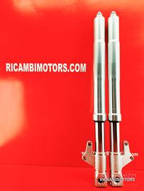 FORCELLA DUCATI MONSTER 900 S2R 1000