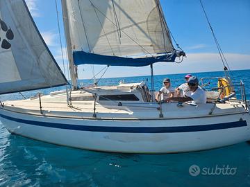 Barca a vela Jouet 24