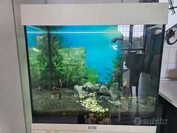 Acquario  juwel 120 L