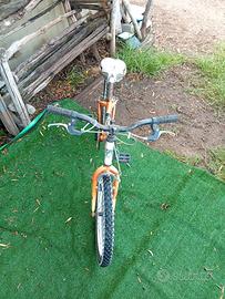 bicicletta 