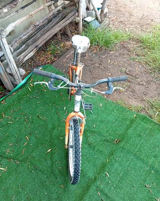 bicicletta 