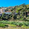 terreno-residenziale-sanremo-srt01vrg-