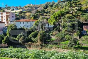Terreno Residenziale Sanremo [SRT01VRG]