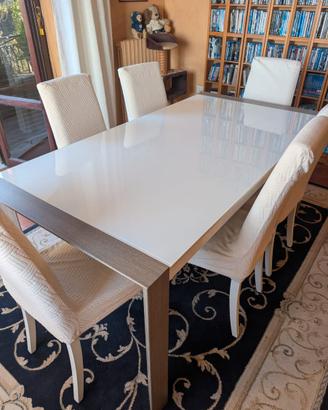 Grande tavolo da pranzo moderno allungabile