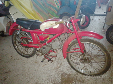 Guzzi cardellino 73cc targa Venezia ( Ve)