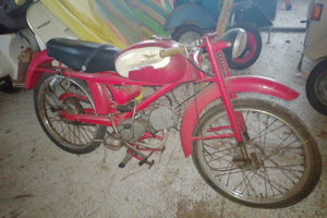 Guzzi cardellino 73cc targa Venezia ( Ve)
