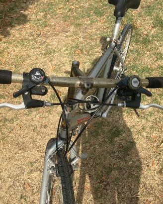 bicicletta da uomo 