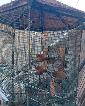 voliera per uccelli 