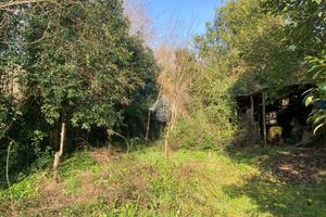 TER. AGRICOLO A BENEVENTO