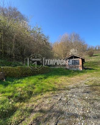 COMPLESSO RURALE EDILIZIO - INVESTIMENTO - ZONA CO