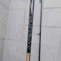 Canna pesca spinning con mulinello