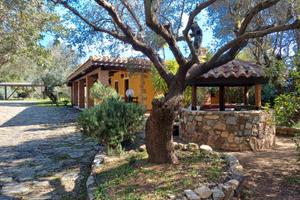 Vacanze tra gli ulivi